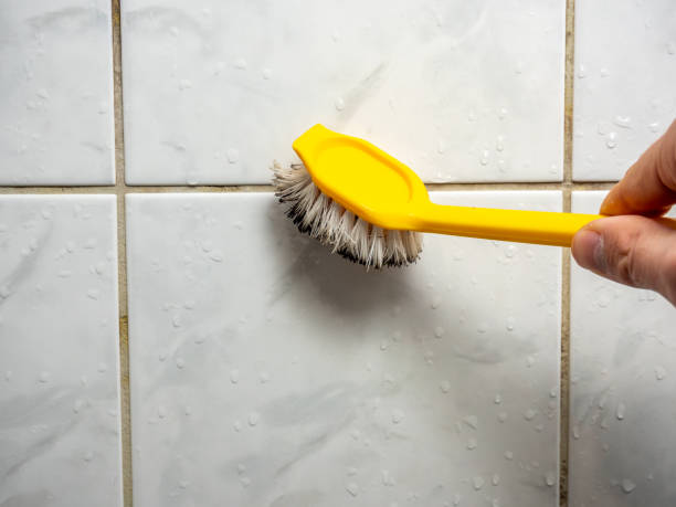 Best Affordable Mold Removal  in Chalfant, CA